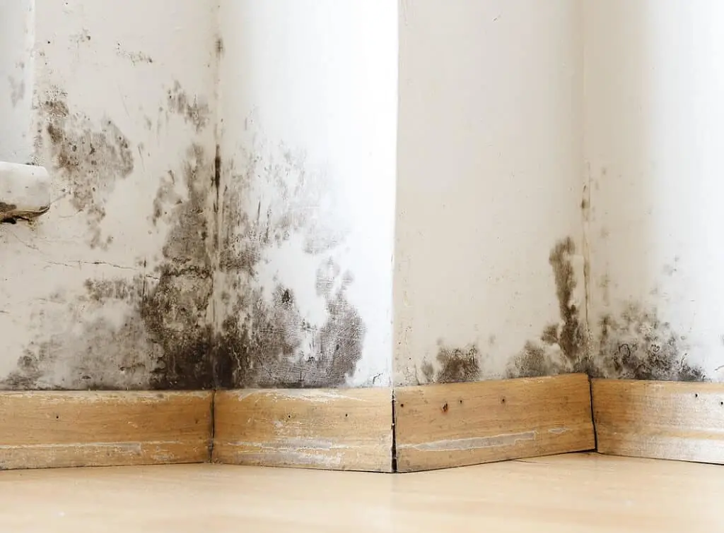 Penetrating damp on exterior wall